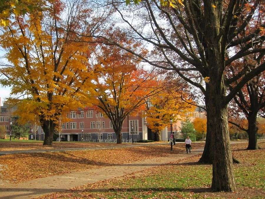 hougarden
