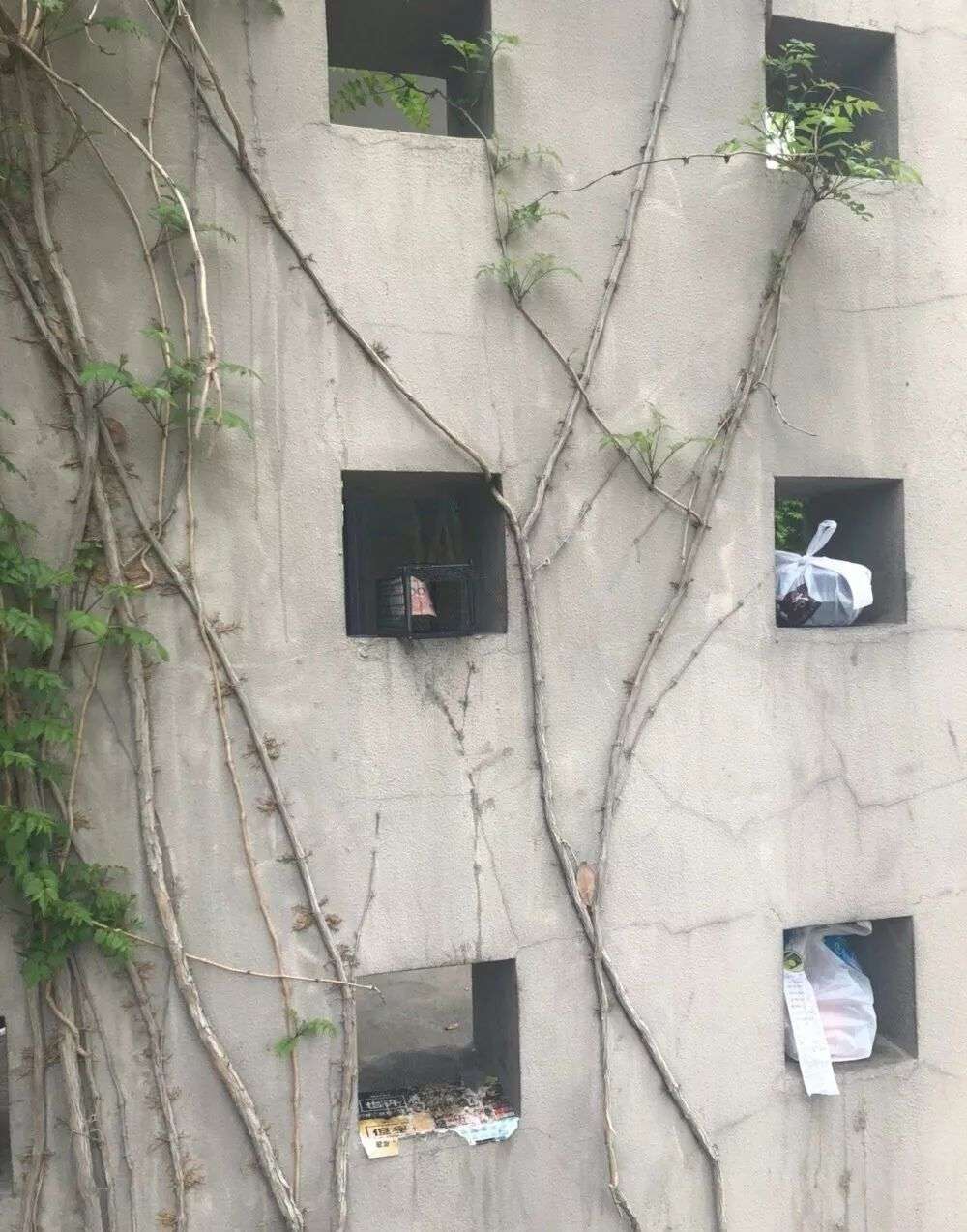 hougarden