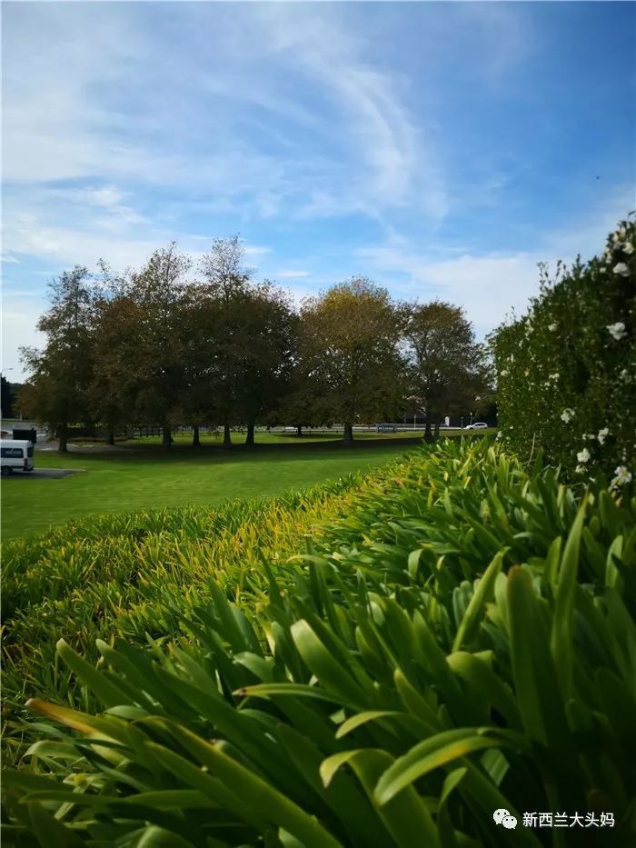 hougarden