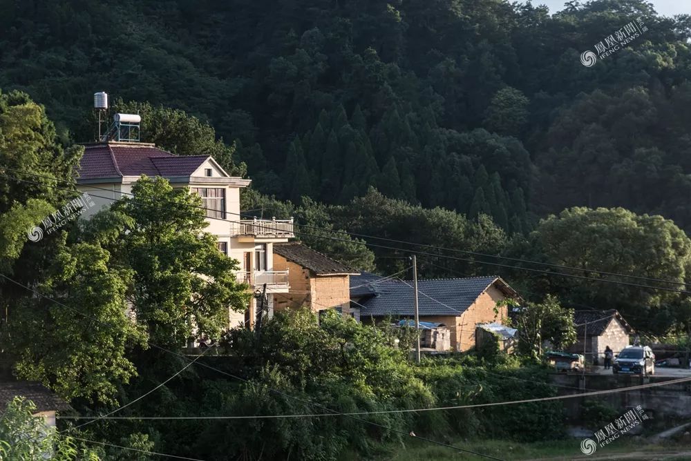 hougarden