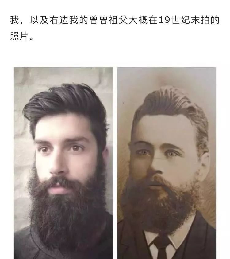 hougarden