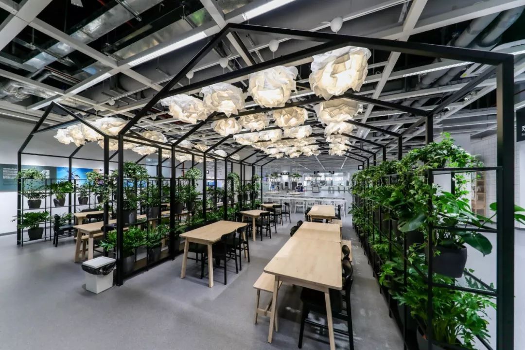 hougarden