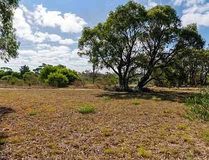17 Creswell Street, Crib Point, VIC 3919, 0房, 0浴, Section