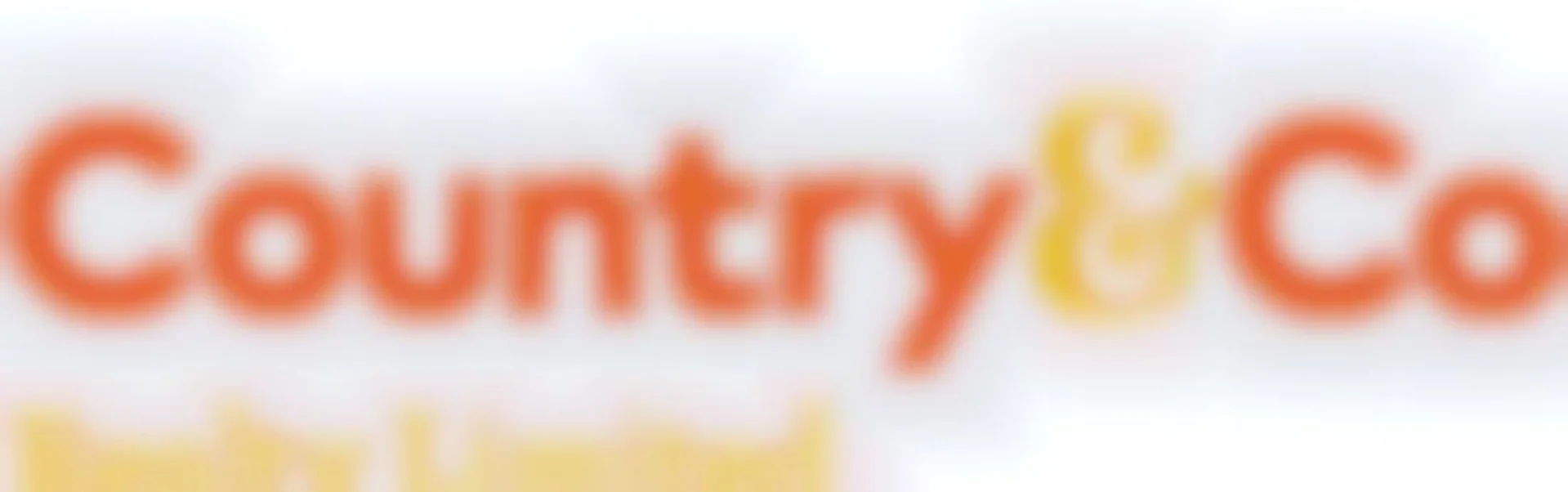 Country & Co Realty Limited (Licensed: REAA 2008)