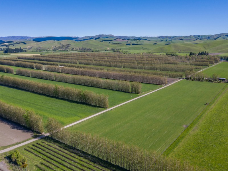 37 Omihi Station Road, Waipara, Hurunui, 0 habitaciones, 0 baños