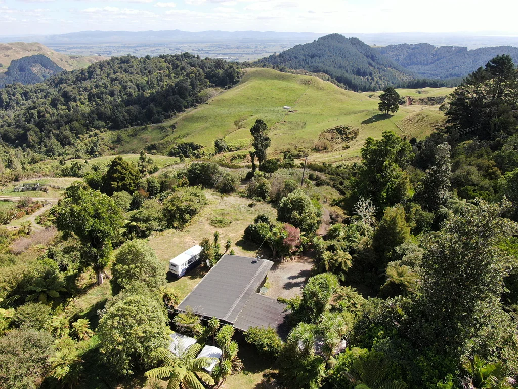 Paeroa Native Bush Utopia