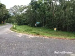 Lot 92 Cape Tribulation Road, Daintree