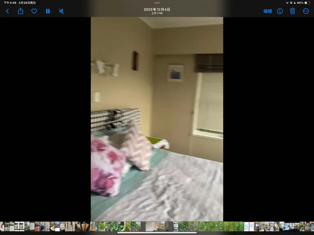 Mairangi Bay-分租或homestay