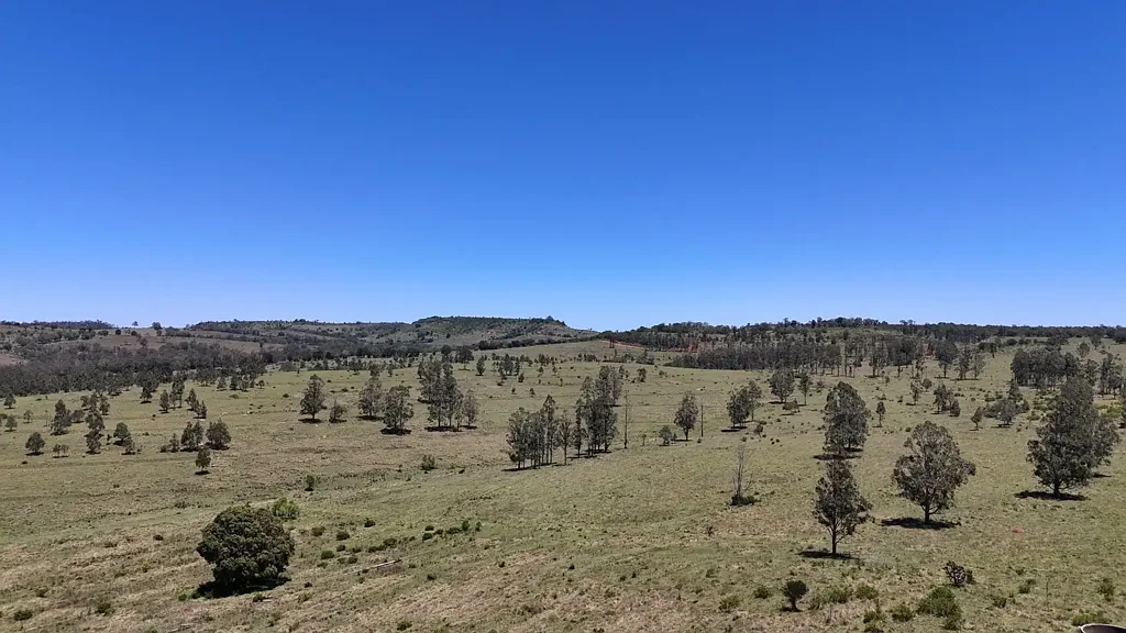 Dangore Quality Grazing Country - Just Add Improved Pastures