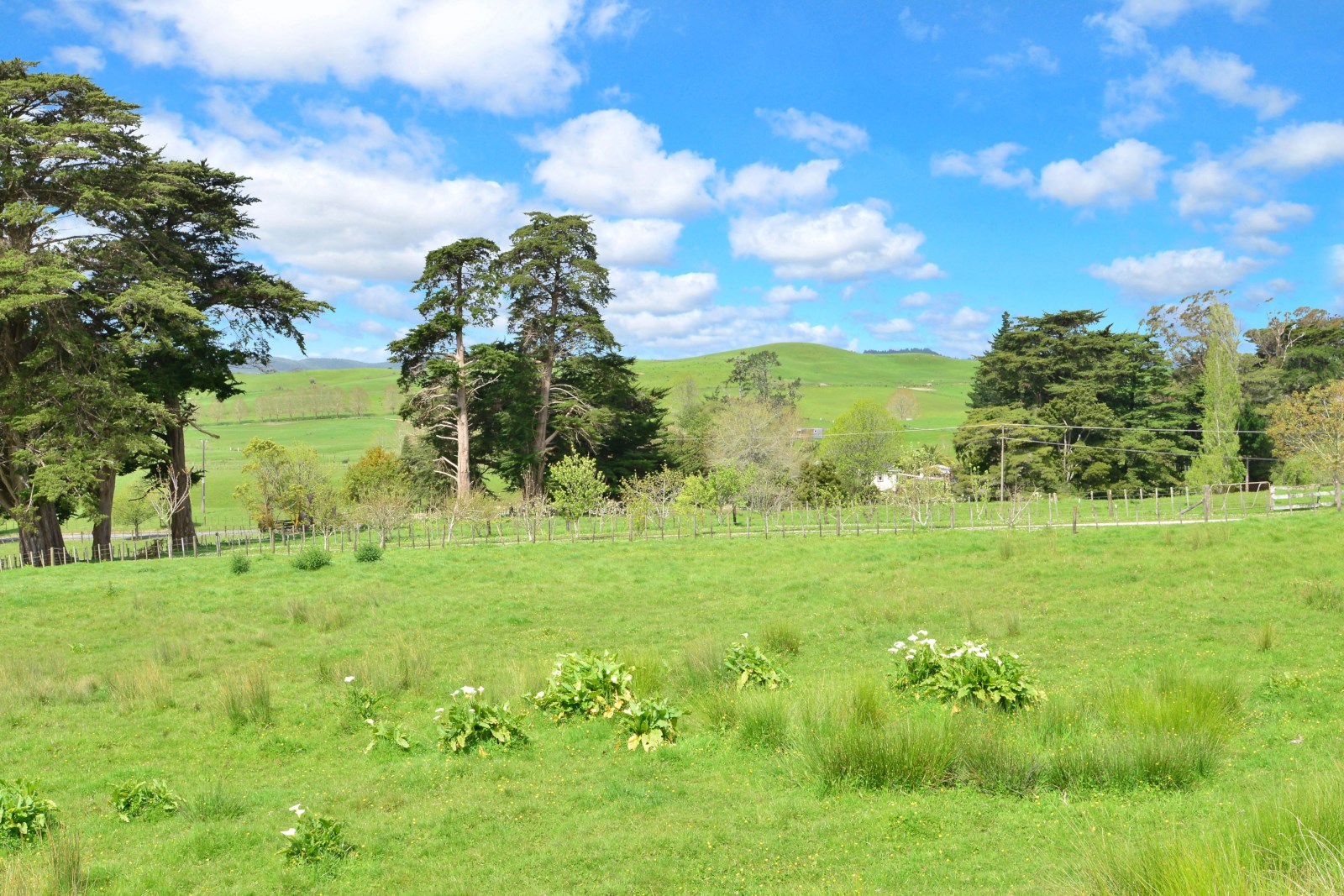 19 Borrows Road, Wellsford, Auckland - Rodney, 0 chambres, 0 salles de bain