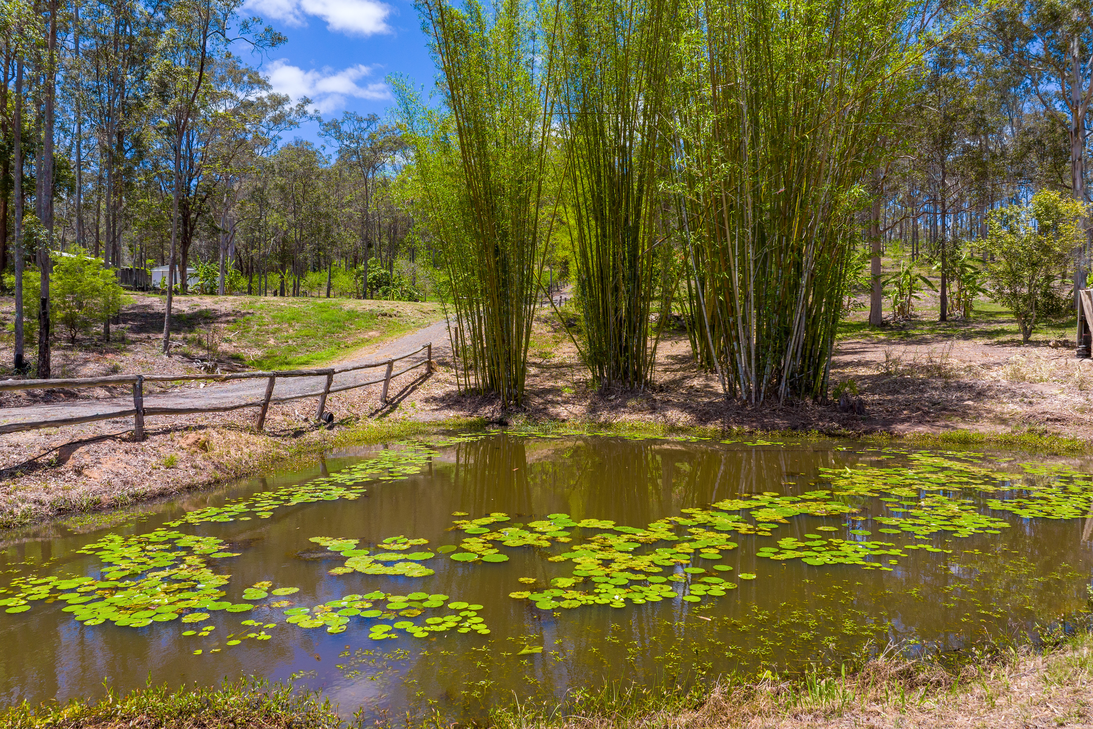 525 COLES CREEK RD, COORAN QLD 4569, 0 habitaciones, 0 baños, House