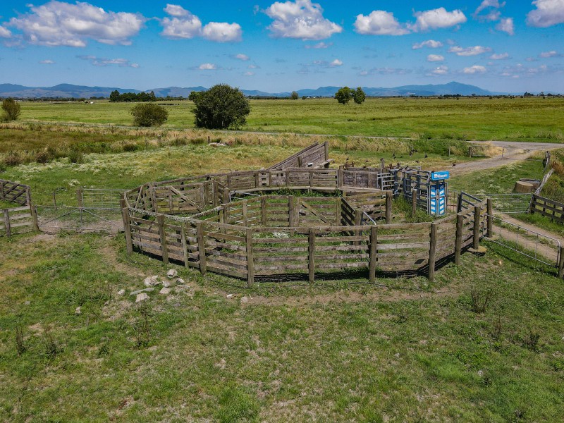 216 Phillips Road, Opotiki Coastal, Opotiki, 0 rūma, 0 rūma horoi