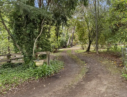 2630 Colac - Forrest Road, Forrest, Geelong, 4 ਕਮਰੇ, 2 ਬਾਥਰੂਮ, Lifestyle Property