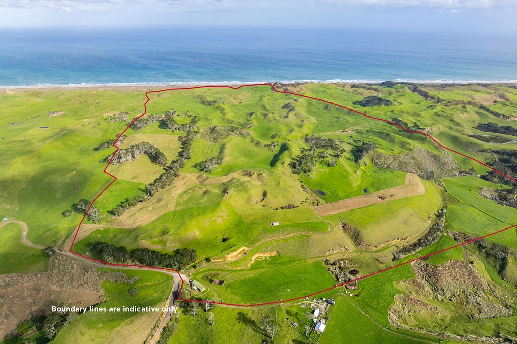 Dargaville  Coastal beef finishing opportunity - 162.56ha
