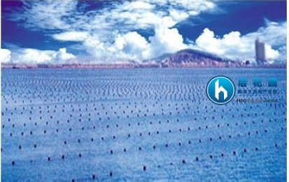 新西兰海产养殖业希望扩展养殖海域
