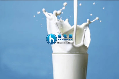 昨晚世界奶制品拍卖会价格略有下降