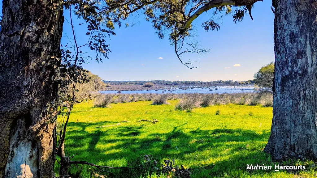 Cowalla  "Bidaminna Lake" 565ac