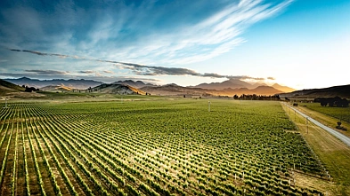 Iba Pa - 413 Upton Downs Road, Seddon, Marlborough