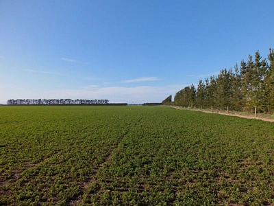 Outer Plains
