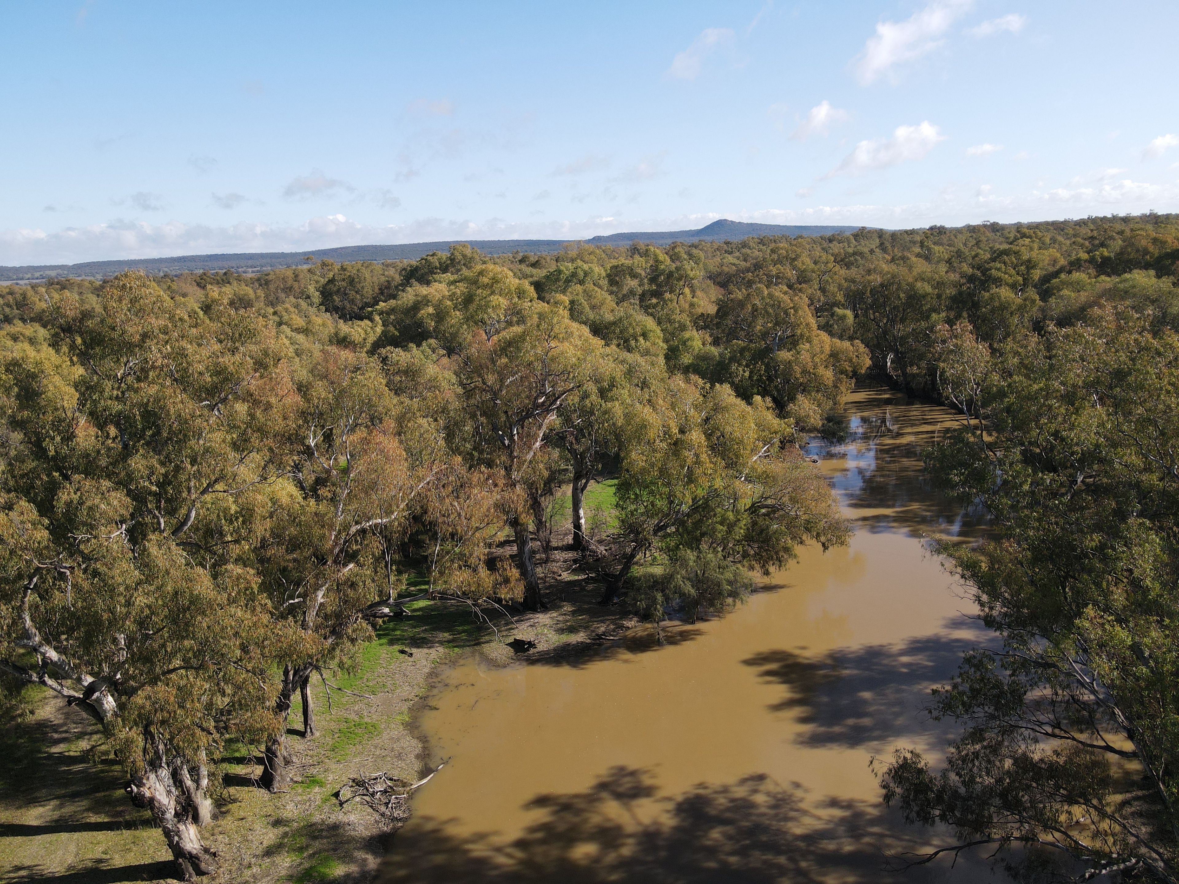 4546 LACHLAN VALLEY WAY, WALLANTHERY NSW 2675, 0 Bedrooms, 0 Bathrooms, Lifestyle Property