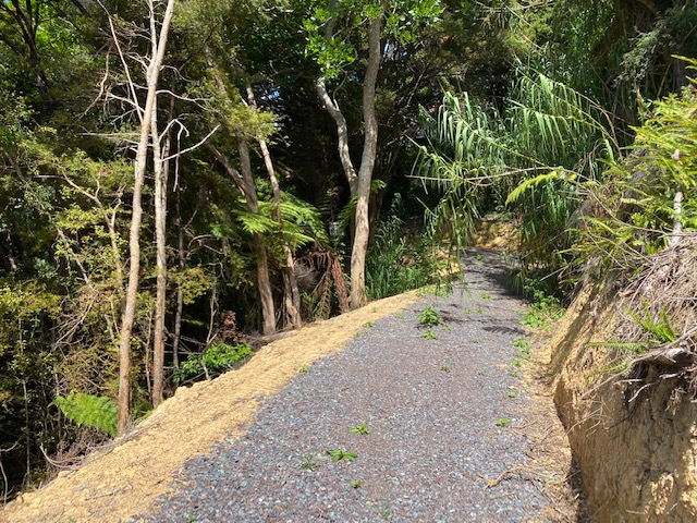 20b Beechy Street, Opua, Far North, 0 rūma, 0 rūma horoi