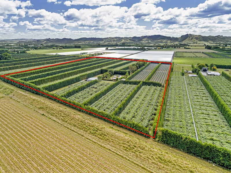 343 Bushmere Road, Hexton, Gisborne, 0 rūma, 0 rūma horoi