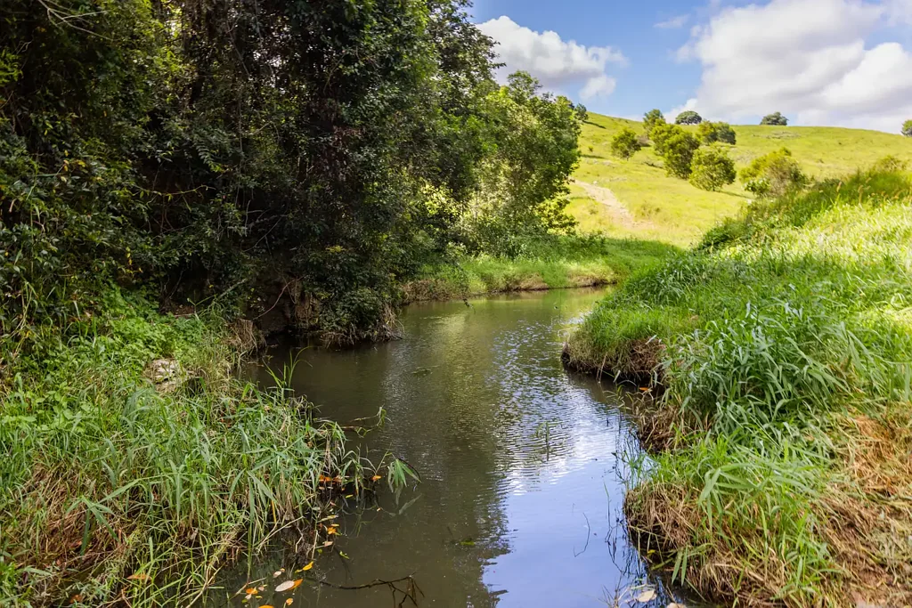 Cootharaba Rare, Vacant Landholding - Your Lifestyle Dreams Start Here!
