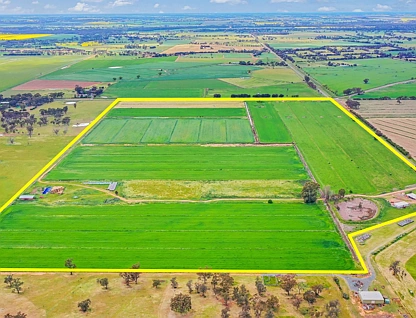 429 O'Donnell Road, Rochester, Bendigo, 3 Bedrooms, 1 Bathrooms, Lifestyle Property