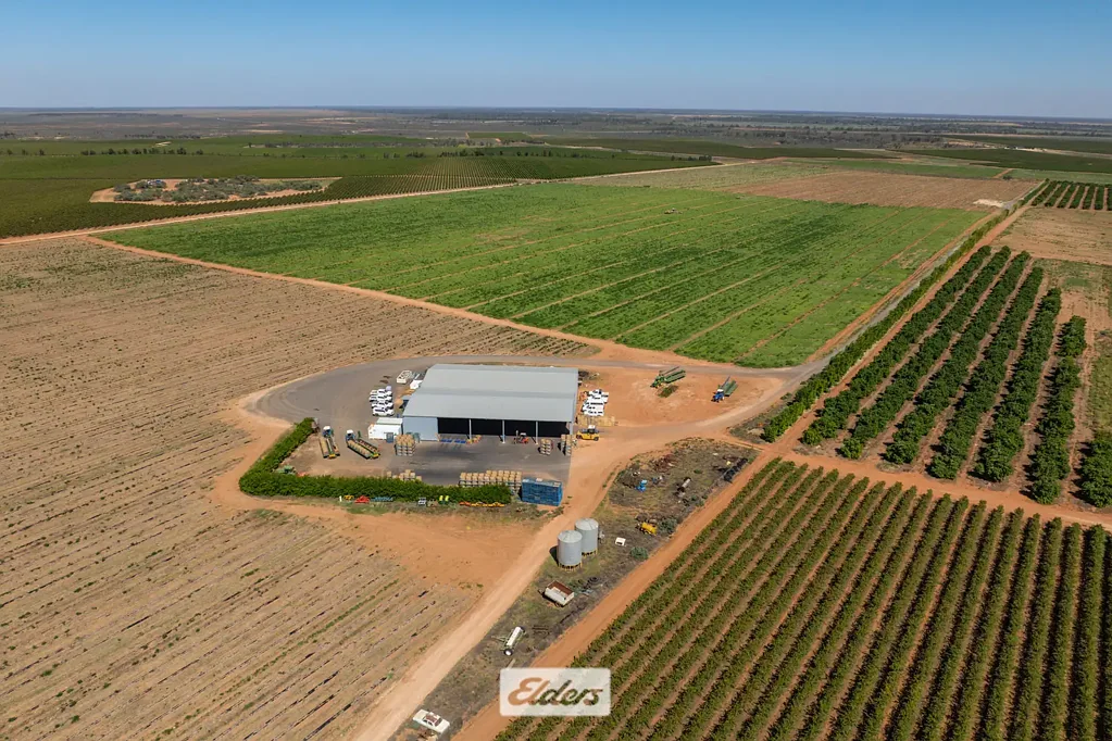 Wentworth Lunar Produce Watermelon Farm - Offering Approx. 1000 acres .