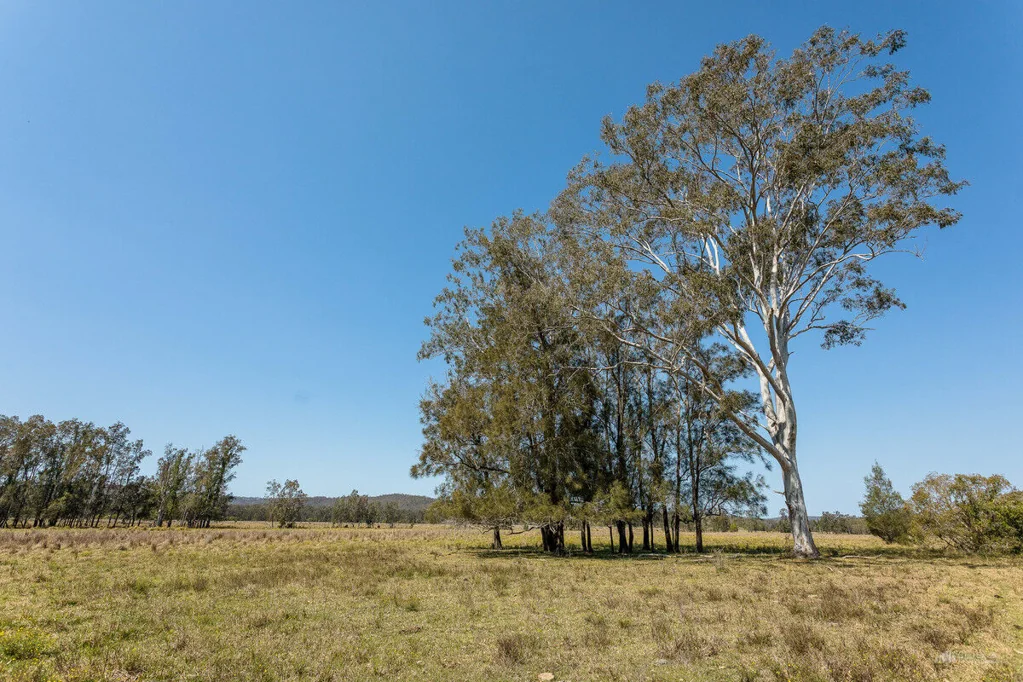 Pillar Valley Large Cattle and Cropping Farm close to the Coast and the Clarence River