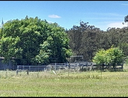 3046 Baradine road, Coonabarabran, North West, 4 ਕਮਰੇ, 2 ਬਾਥਰੂਮ, Lifestyle Property