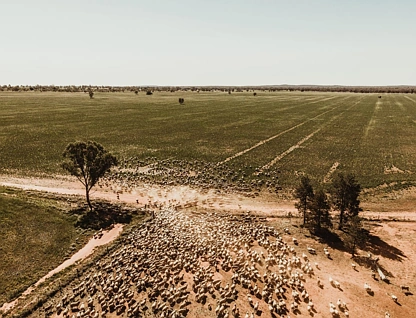 'Glenkerry' 492 Eremeran Road, Condobolin, Central Tablelands, 3房, 1浴, Lifestyle Property