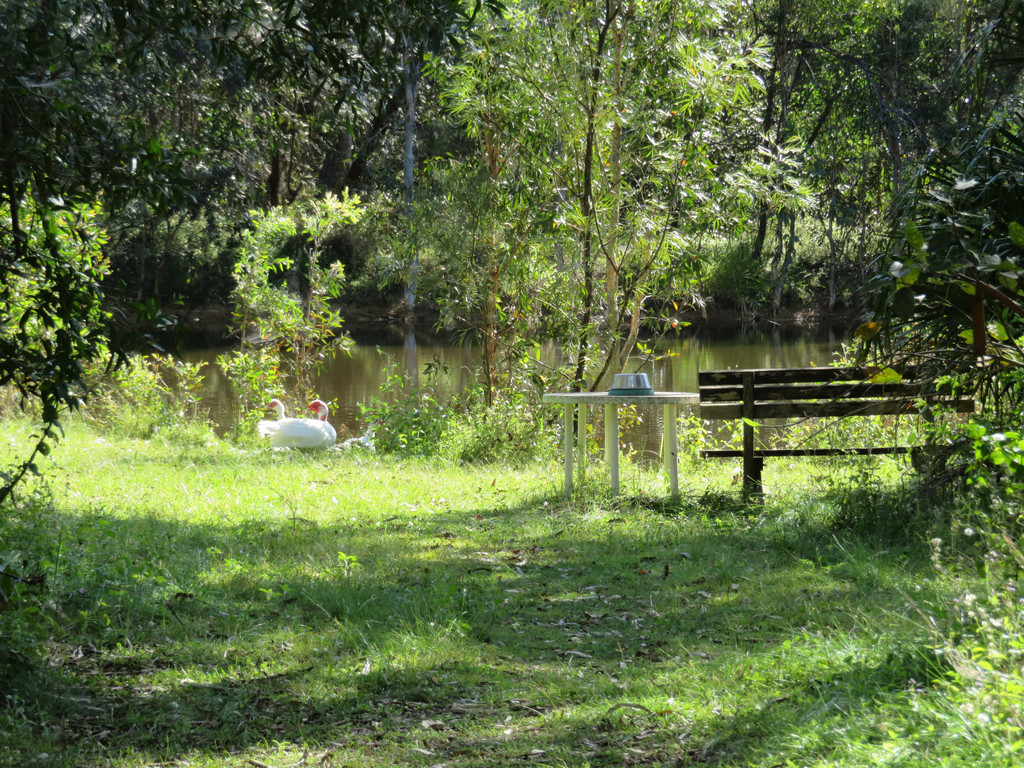 711 CAPRICORNIA DR, DEEPWATER QLD 4674, 0 Kuwarto, 0 Banyo, Lifestyle Section