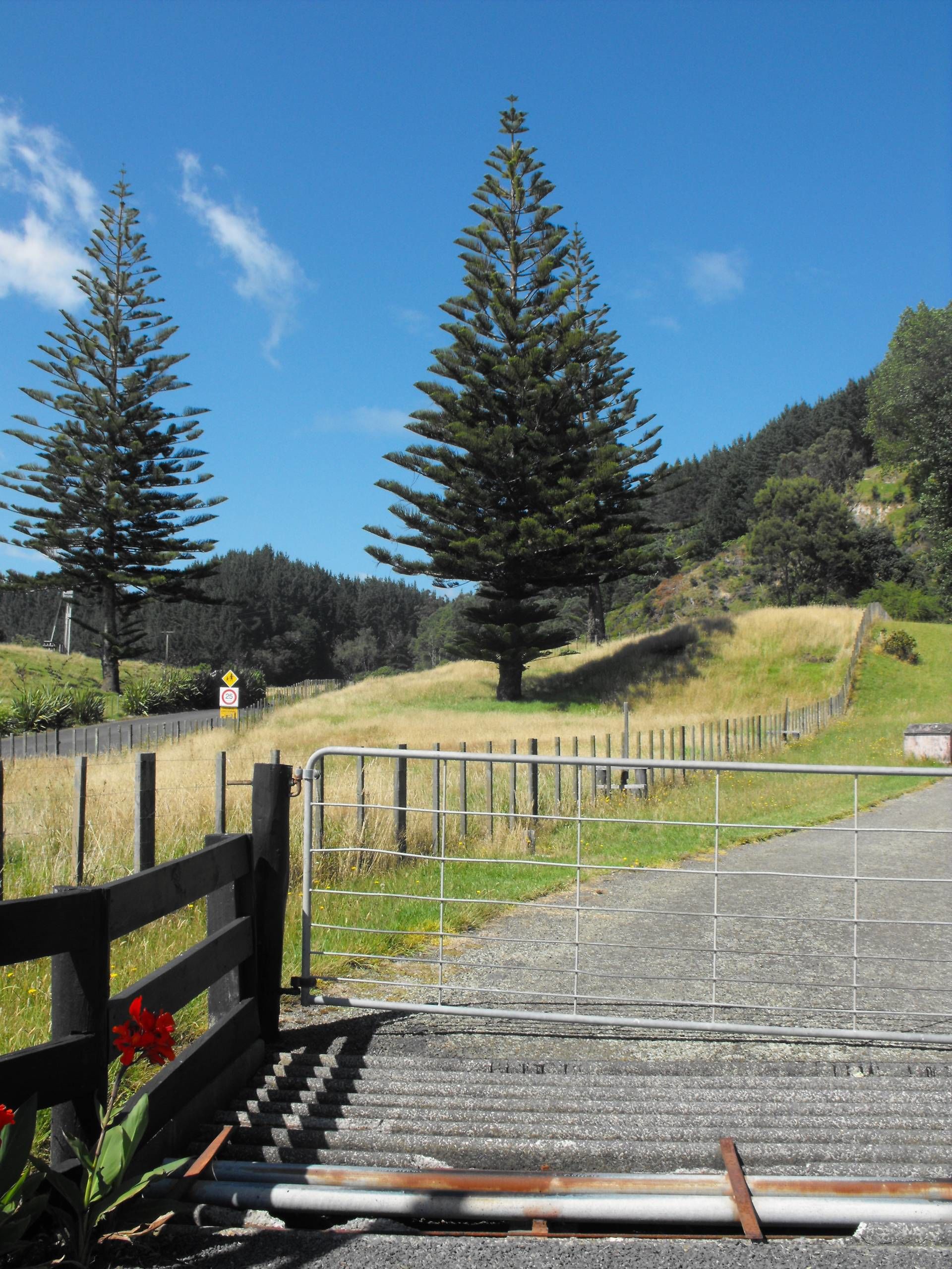 603 State Highway 2 West, Pikowai, Whakatane, 4 rūma, 0 rūma horoi