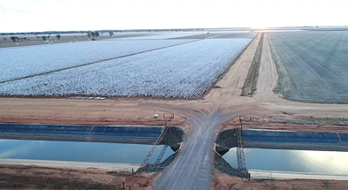 地址保密, Narromine, NSW 2821, 4房, 1浴, Lifestyle Property