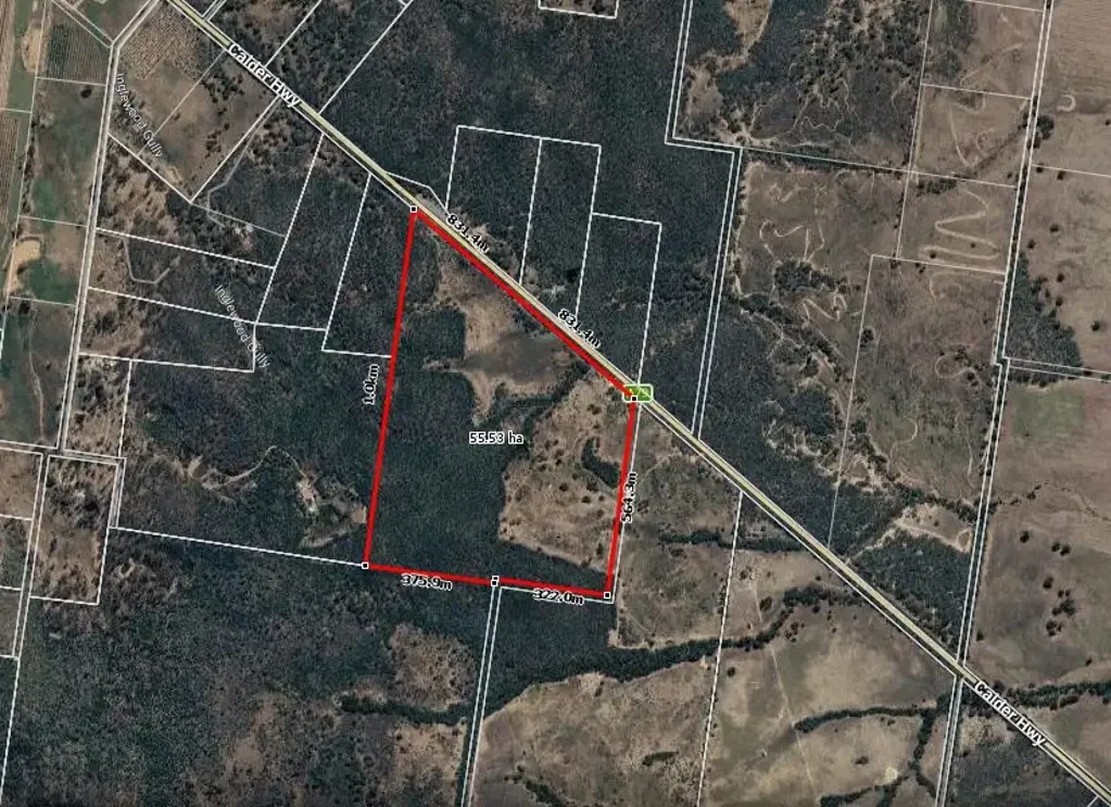 Wedderburn  Protected native bushland with outstanding conservation value
