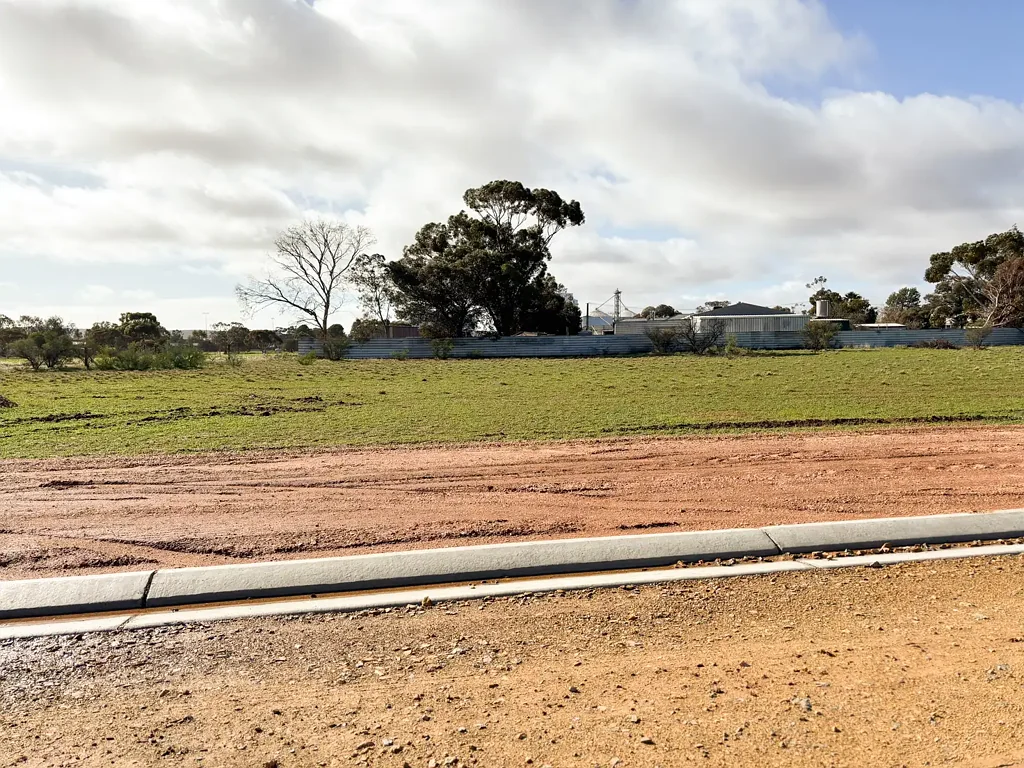Lot 21 & 22 Manfred street, Crystal Brook, SA 5523