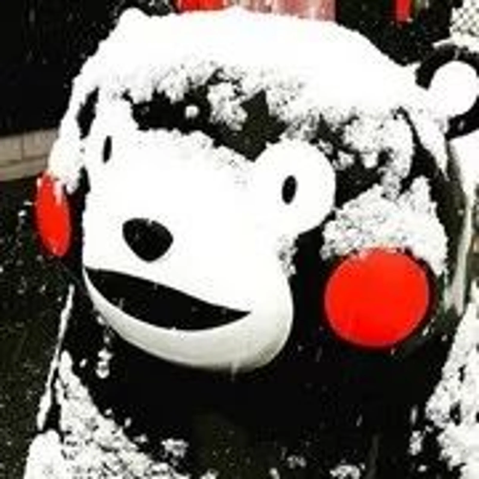 立冬+初雪!纽约本周真要下雪了?超低温跌破冰点,冬季风暴还特别多…