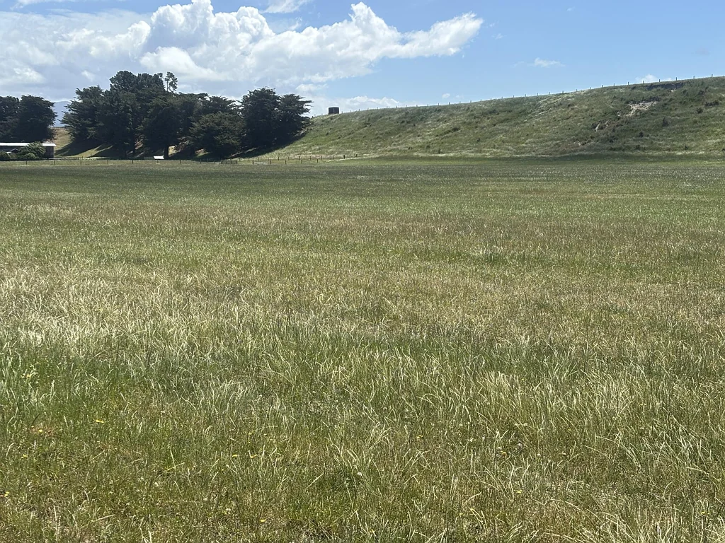 Makikihi Lifestyle Opportunity