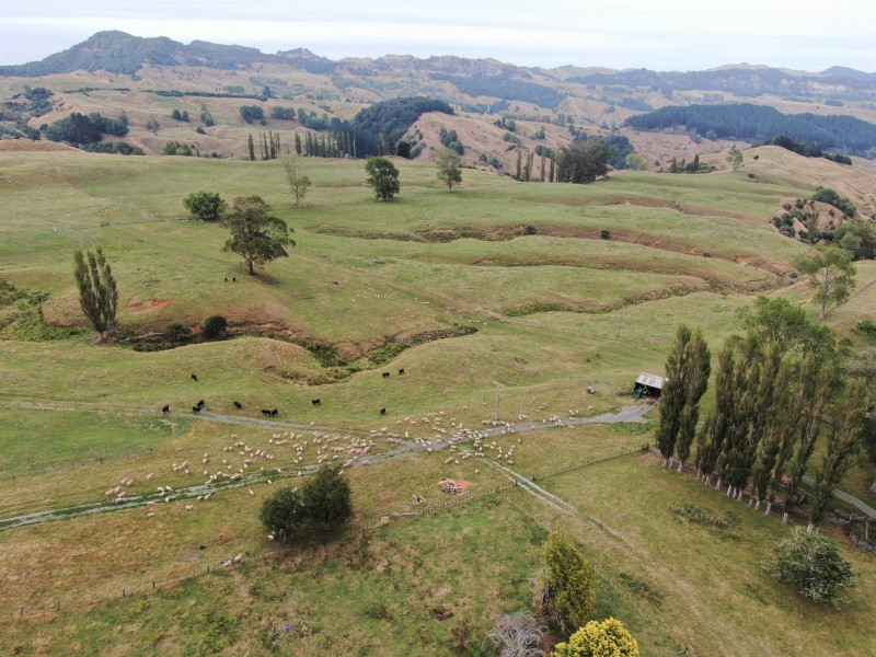 3062 State Highway 4, Aria, Waitomo, 0 phòng ngủ, 0 phòng tắm