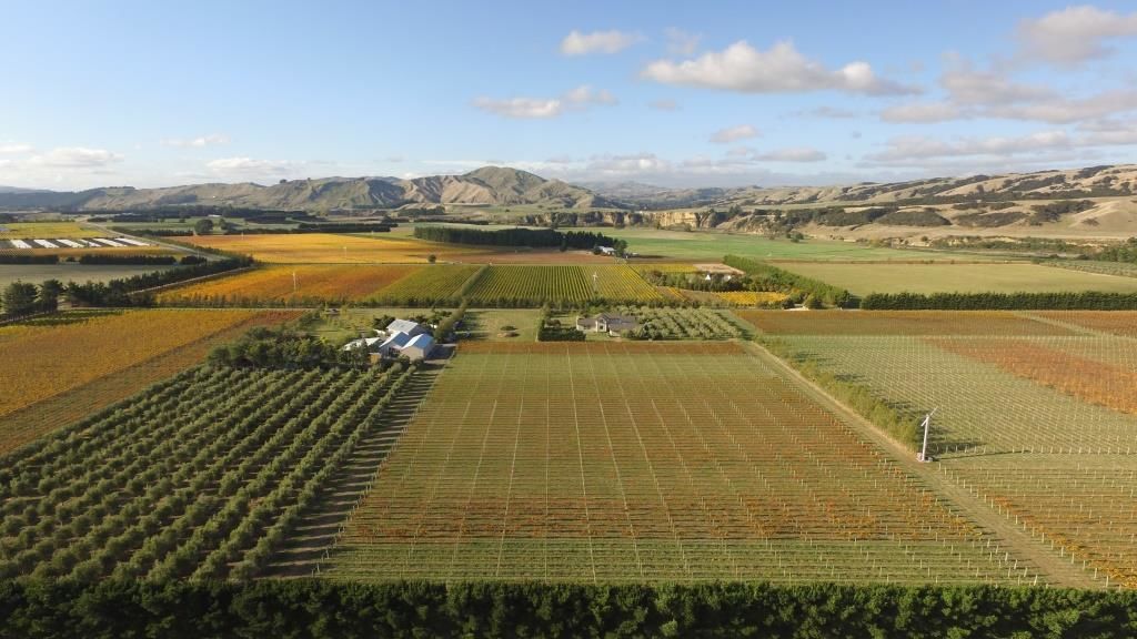 Te Muna Road, Martinborough, South Wairarapa, 0 غرف, 1 حمامات