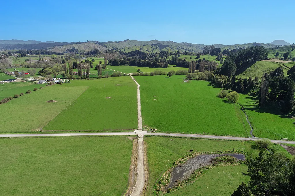 Taumarunui  Ribbonwood