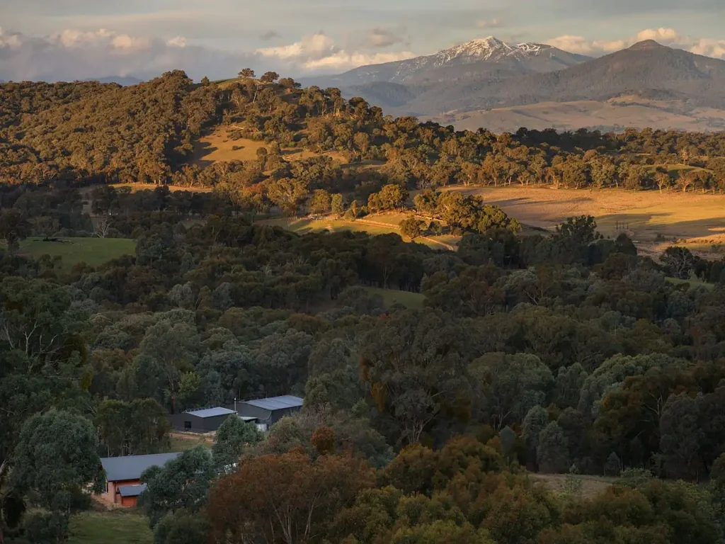 Mansfield  A Unique Blend of Country Charm and Opportunity: Mount Buller Lifestyle Property on 120 Acres with Gin & Whiskey Distillery