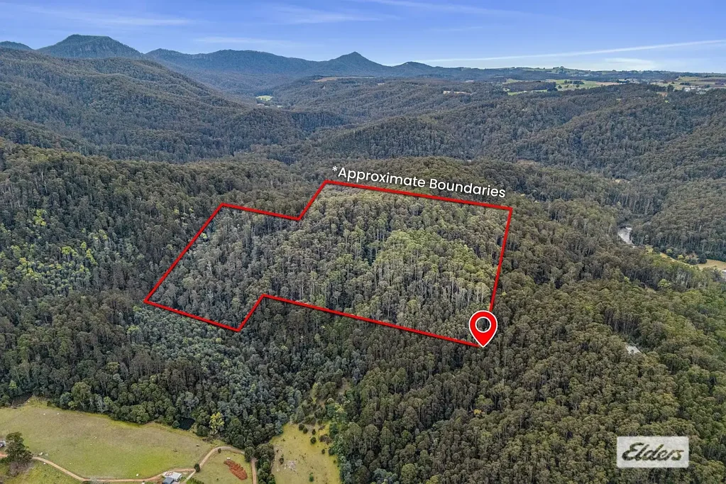 Gunns Plains  RELAX AT YOUR OWN PERSONAL BUSH RETREAT