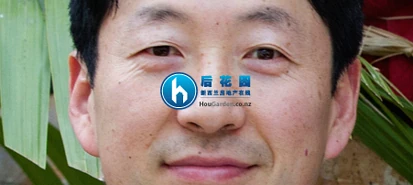 新西兰：亚裔移民新kiwi