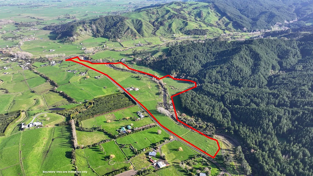 Puriri Serious about selling – vendors ready to go