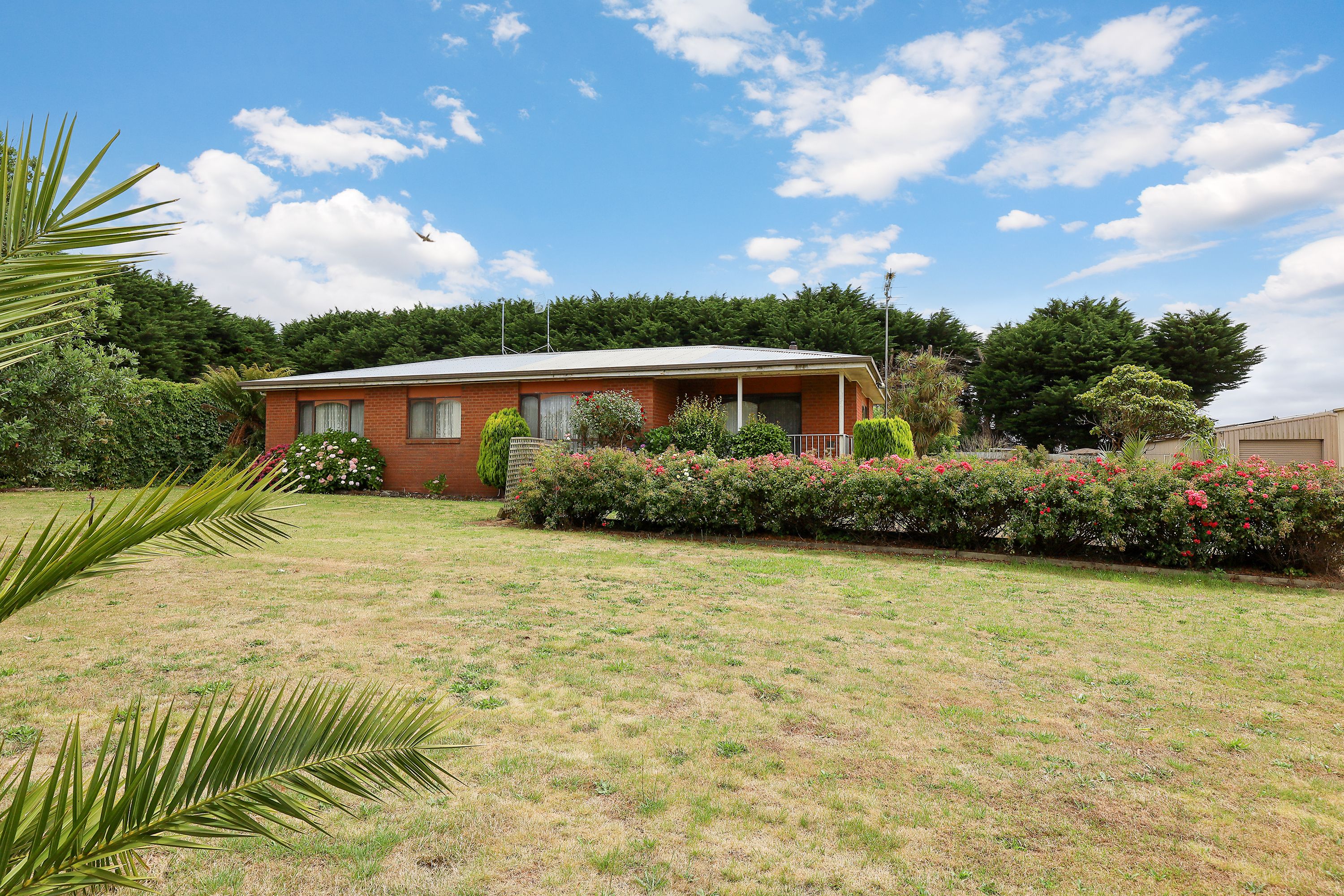 385 CORADJIL RD, SIMPSON VIC 3266, 0房, 0浴, House