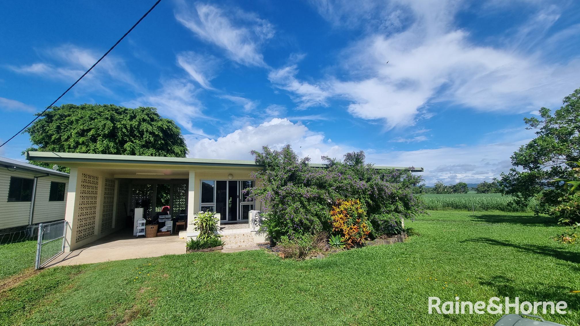 579 MOSSMAN - DAINTREE RD, MIALLO QLD 4873, 0房, 0浴, House