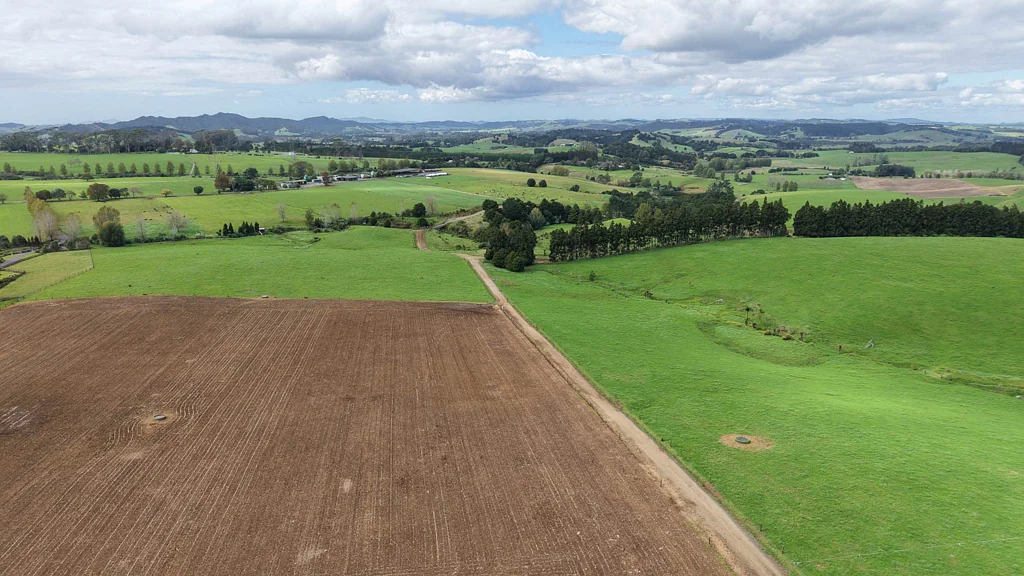 Waimate North Large Scale Dairy and Horticultural Development