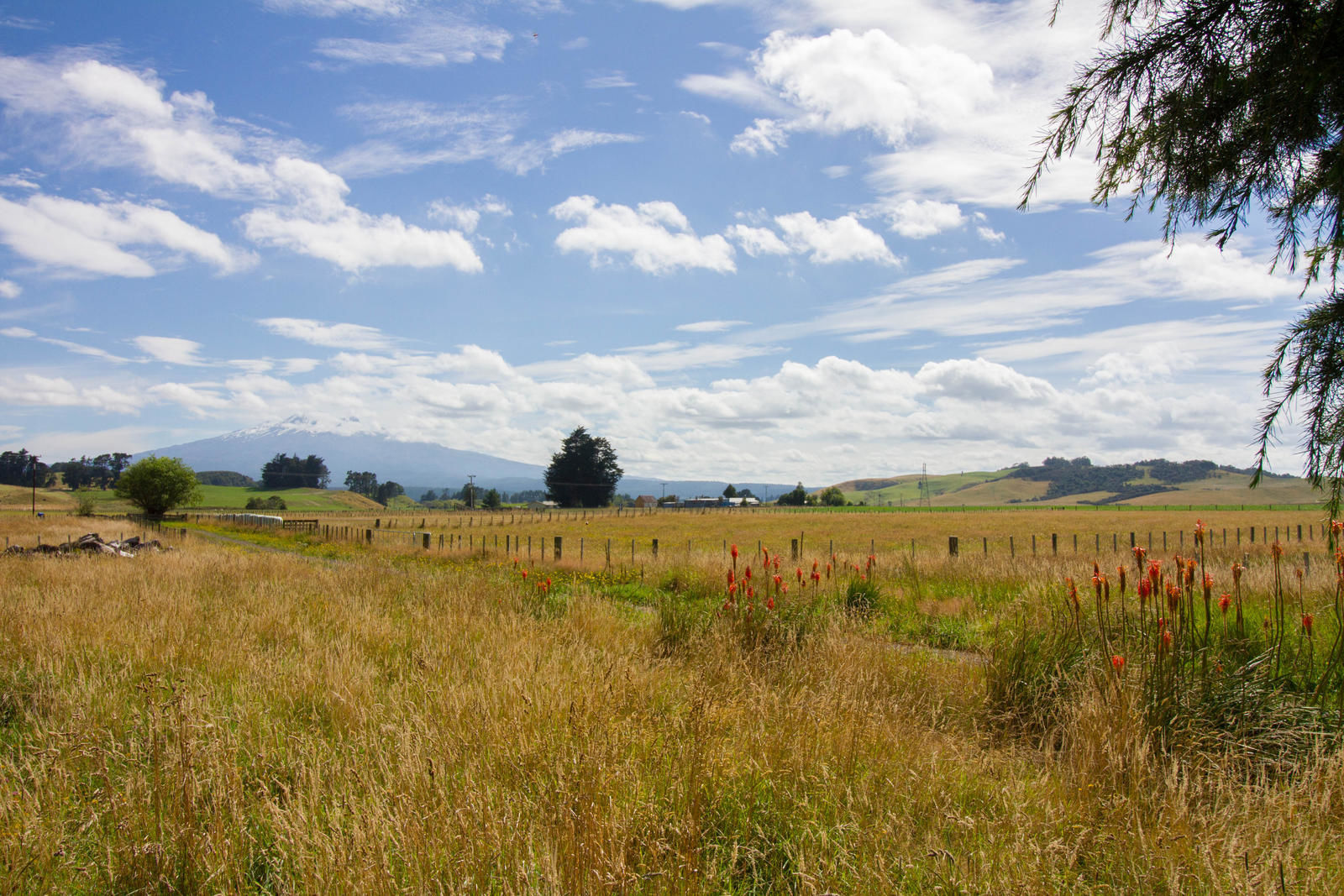 2138 Oruakukuru Road, Tangiwai, Ruapehu, 3 침실, 0 욕실